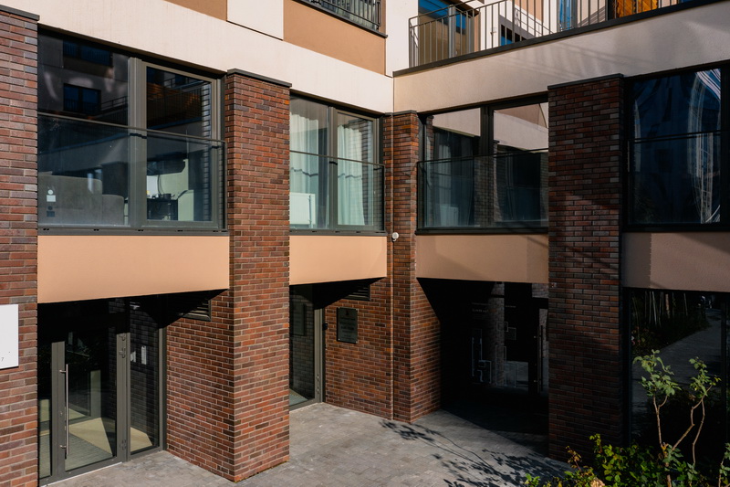 Тайга морион на заре 1нф